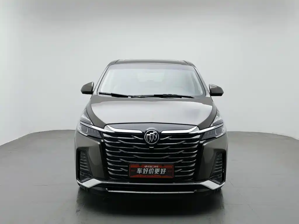 Buick GL8, миниатюра 3