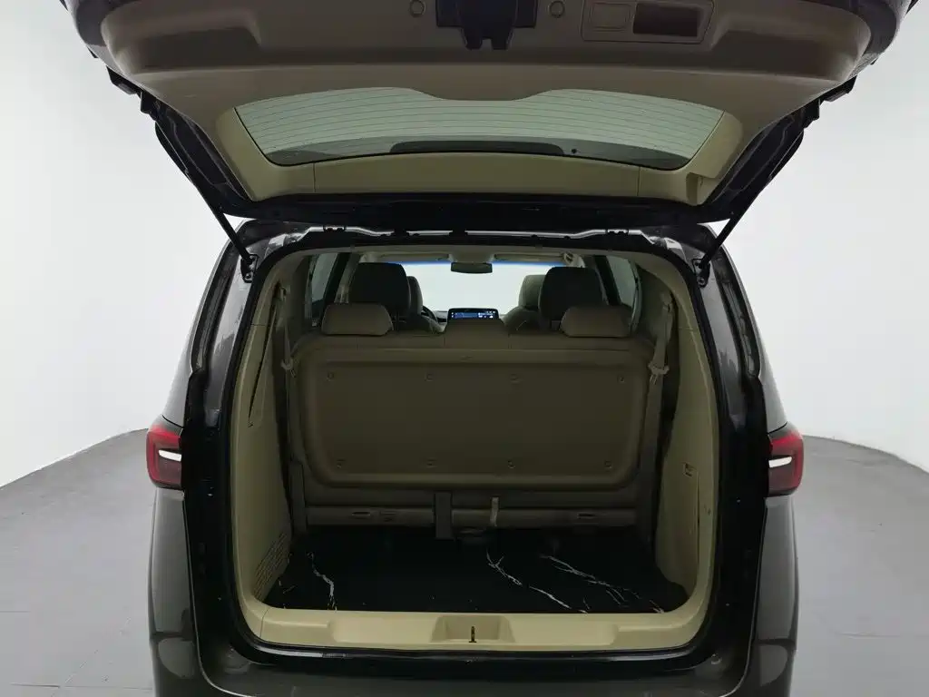 Buick GL8, миниатюра 16