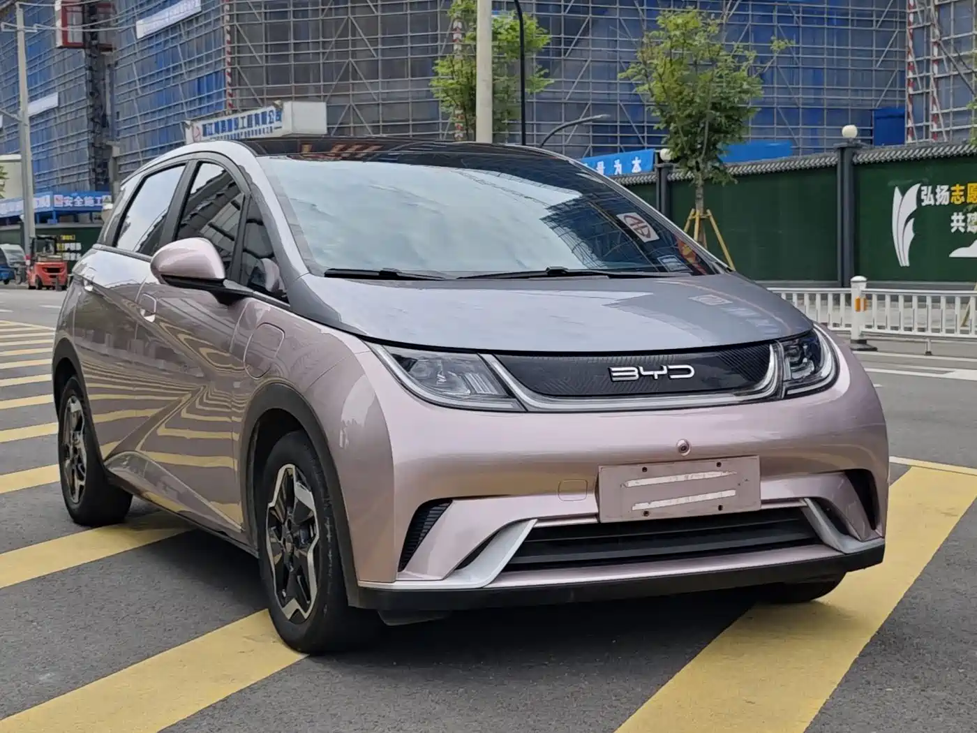 BYD Dolphin 2021 Model 405km Fashion Edition фото 7