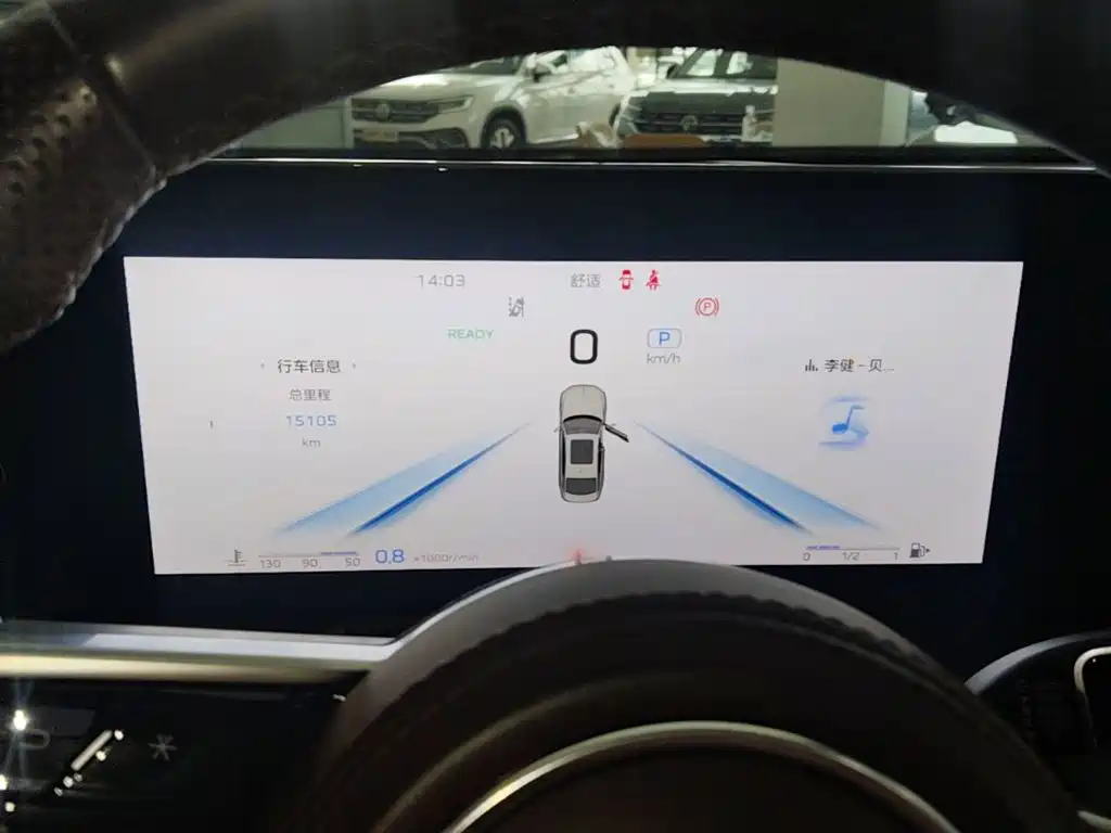 Photo 12 - Hongqi H9