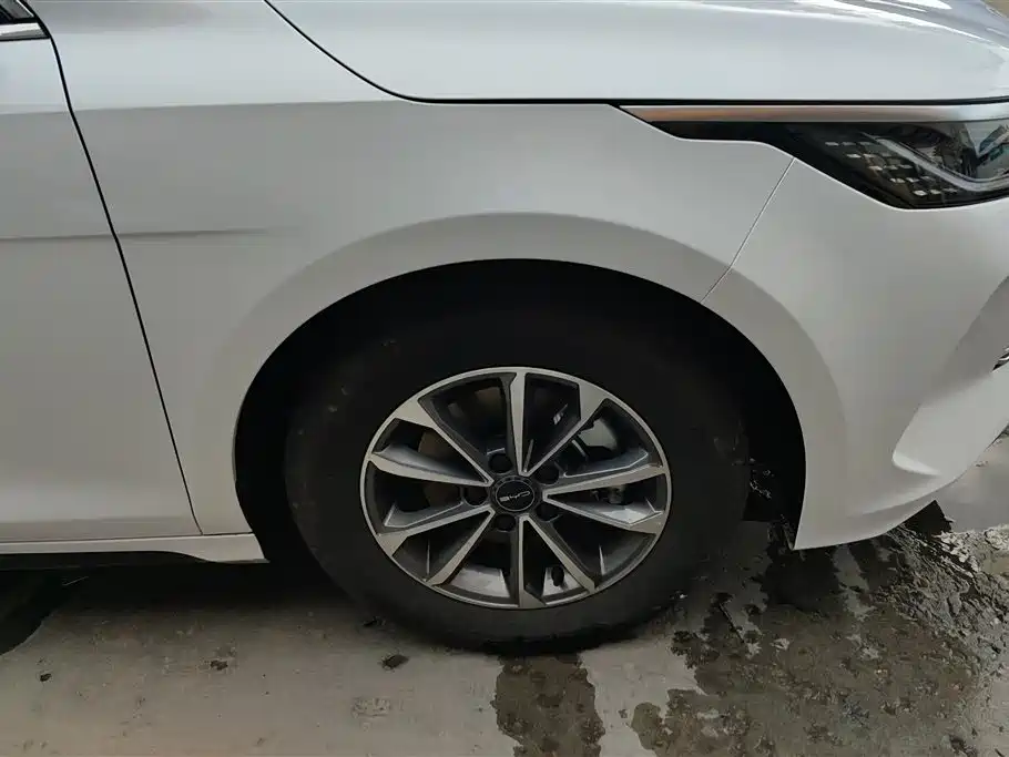 BYD Destroyer 05 2024 Glory Edition DM-i 55KM Luxury фото 6