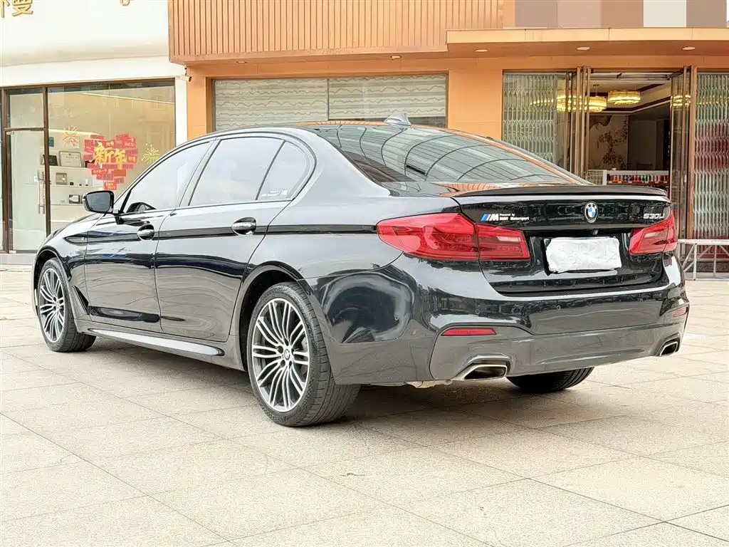 BMW 5 Series 2019 530Li Leading M Sport Package фото 6