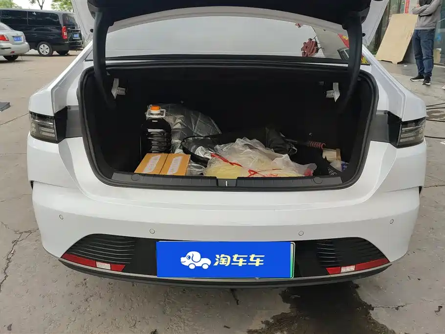 BYD Destroyer 05 2024 Glory Edition DM-i 55KM Luxury фото 4