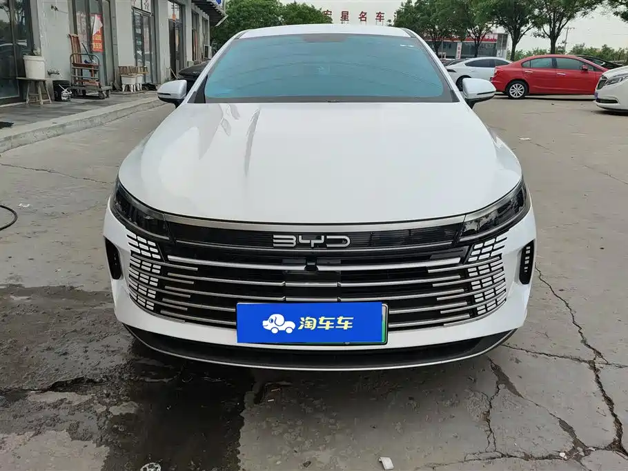BYD Destroyer 05 2024 Glory Edition DM-i 55KM Luxury фото 2
