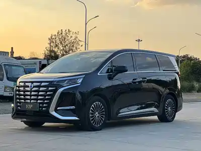 Denza D9