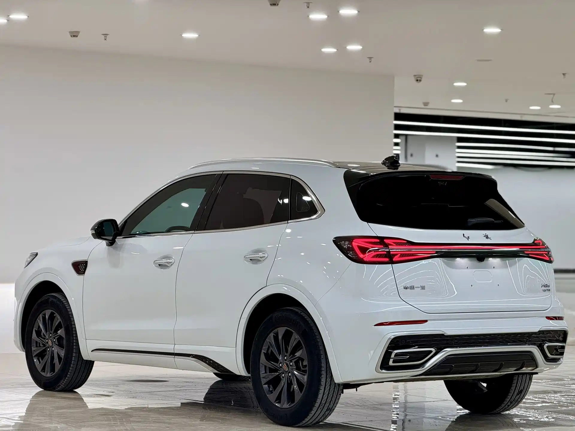 صورة 4 - Hongqi HS5