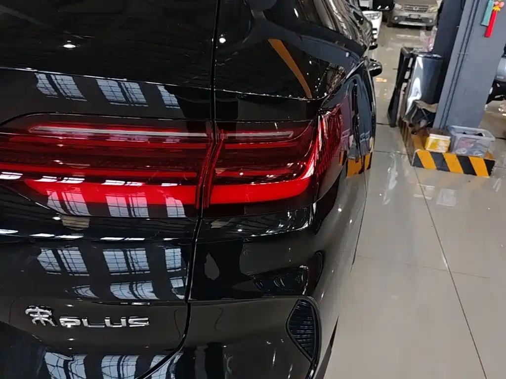 BYD Song PLUS PHEV 2023 Champion Edition DM-i 110KM Flagship фото 8