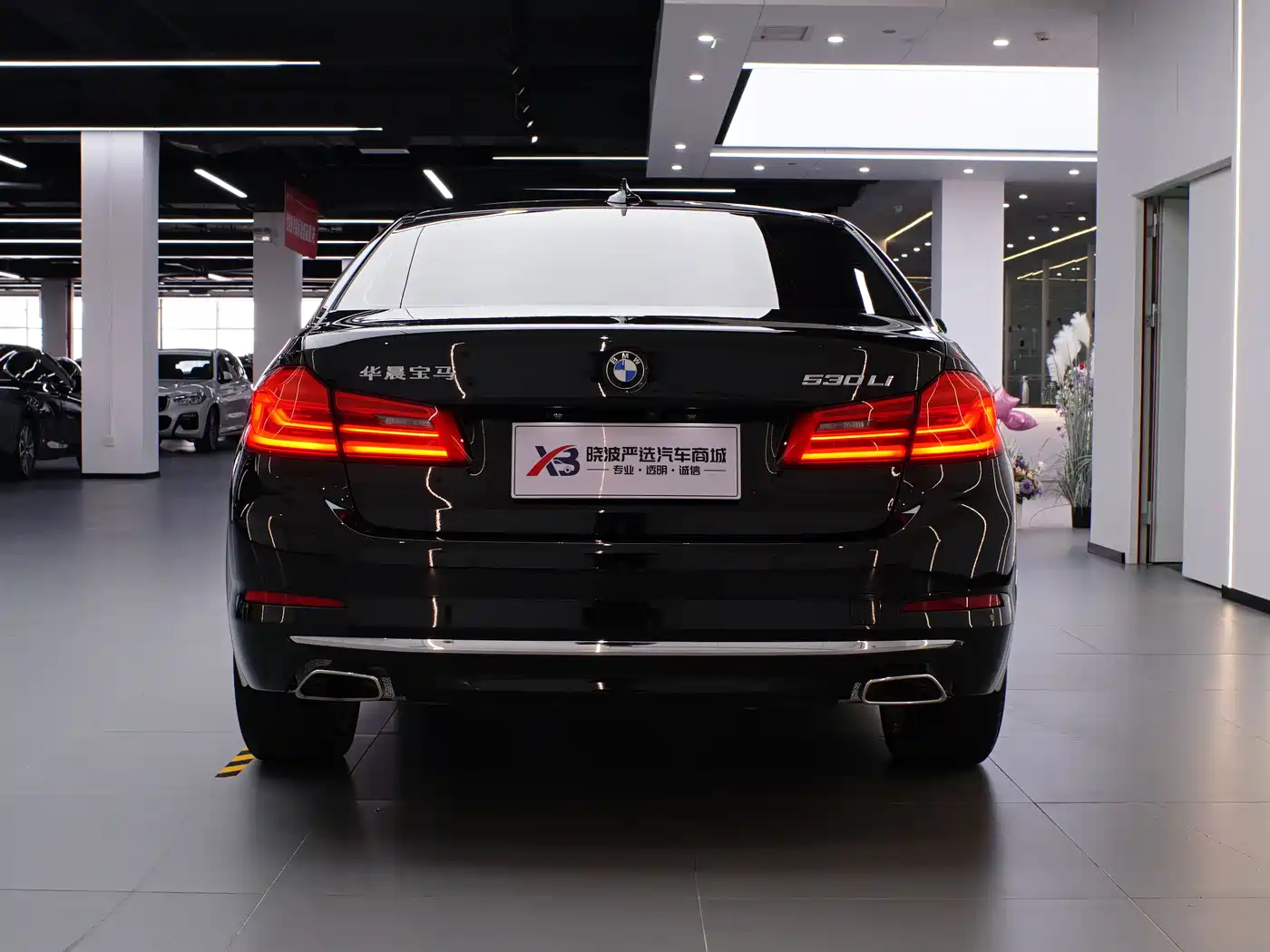 BMW 5 Series 2020 530Li Leading Luxury Package фото 5