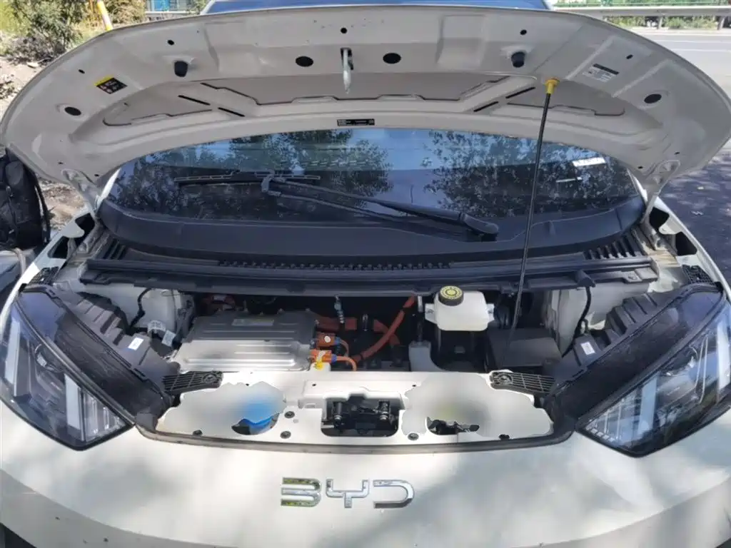 BYD Seagull 2025 Smart Drive Edition 305km Vitality Version фото 20