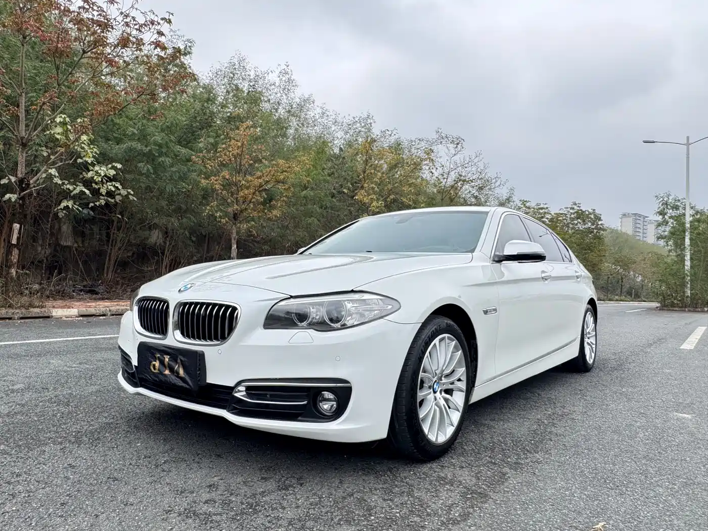 BMW 5 Series 2017 525Li Luxury Design Package