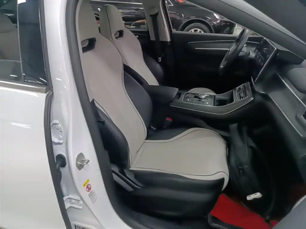 BYD Destroyer 05 2024 Glory Edition DM-i 55KM Luxury фото 16