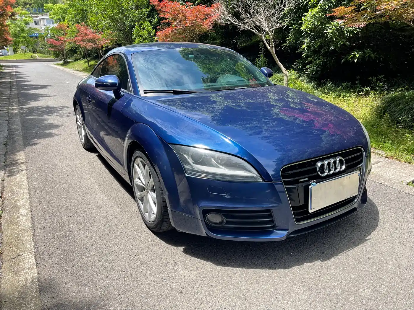 Audi TT 2013 TT Coupe 45 TFSI quattro фото 3