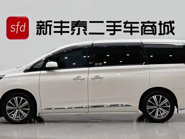 GAC Trumpchi Trumpchi M8 2018 320T Premium Edition фото 4