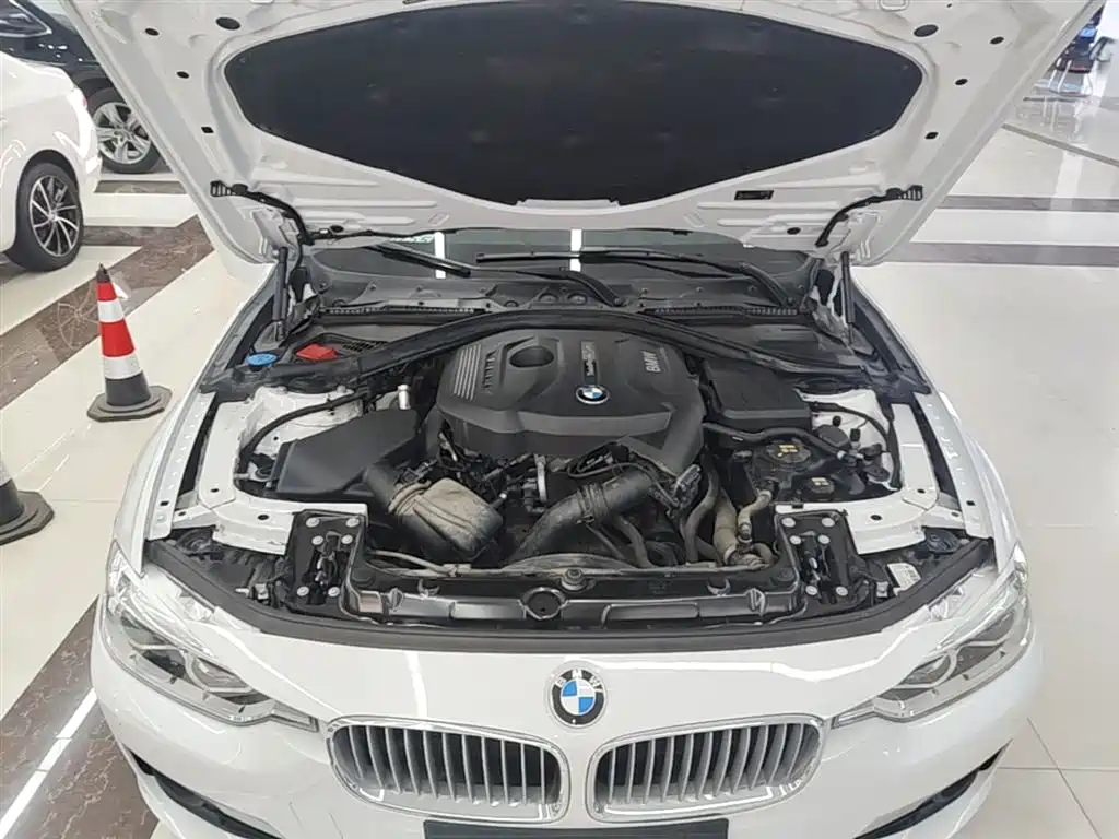 BMW 3 Series 2018 320Li Fashion Style фото 20