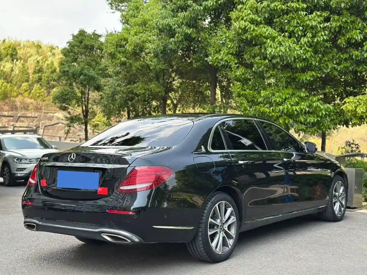Mercedes-Benz E-Class 2019 E 300 L Fashion фото 6