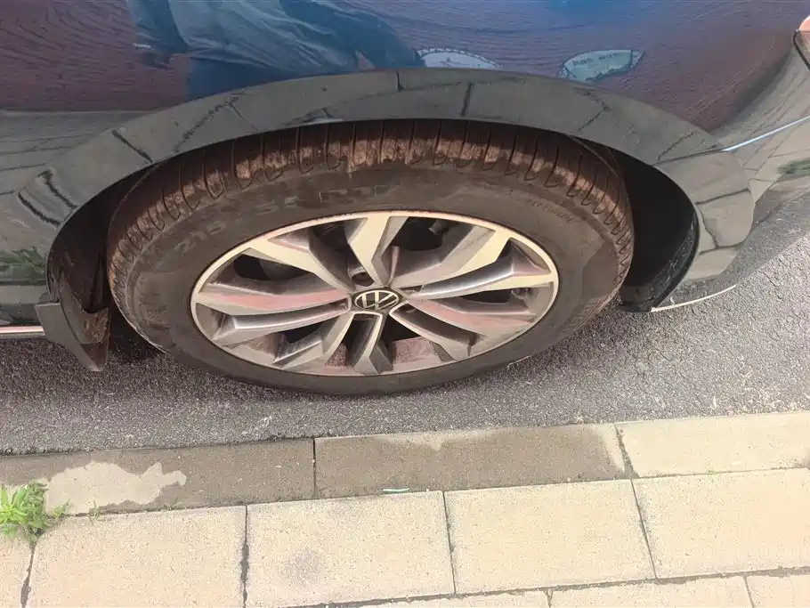 Volkswagen Weilan 2021 2.0T Smooth Ride Edition фото 6