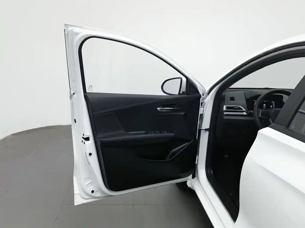 Фото 8 - BYD e2