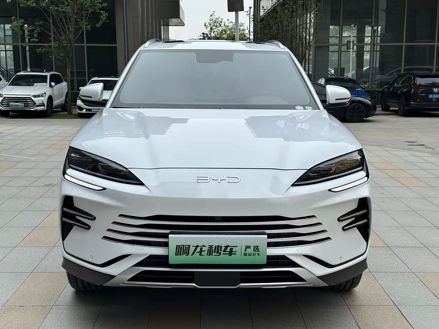 BYD Song PLUS PHEV 2025 DM-i 112KM Premium фото 3