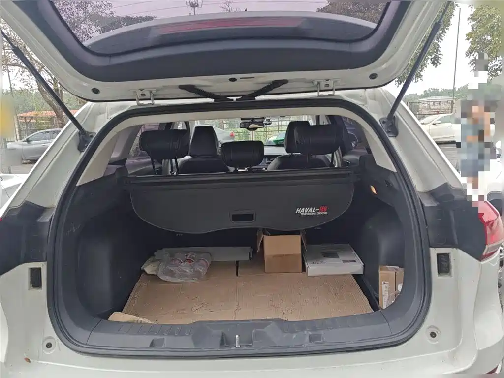 Haval H6 2019 1.5GDIT Automatic Champion Edition China VI фото 10