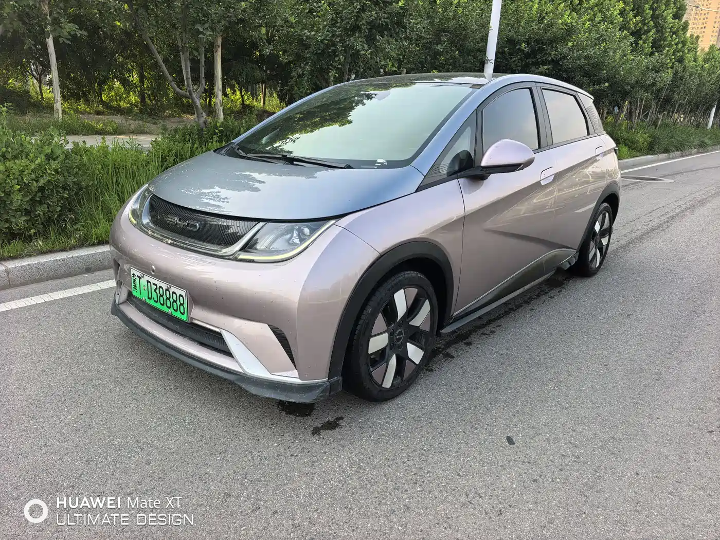 BYD Dolphin 2021 401km Knight Edition