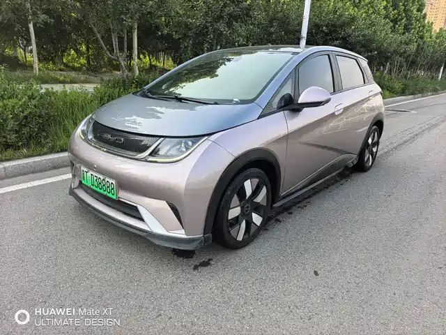 BYD Dolphin 2021 401km Knight Edition