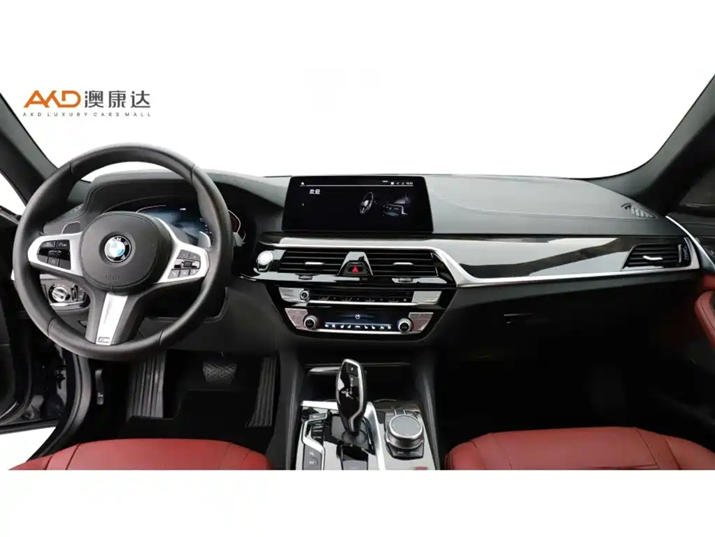 BMW 5 Series 2020 530Li Exclusive M Sport Package фото 5
