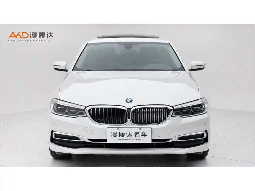 BMW 5 Series 2020 530Li Leading Luxury Package фото 2