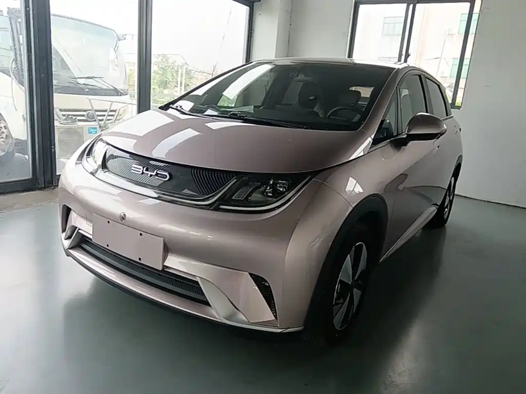 BYD Dolphin 2023 420km Freedom Edition