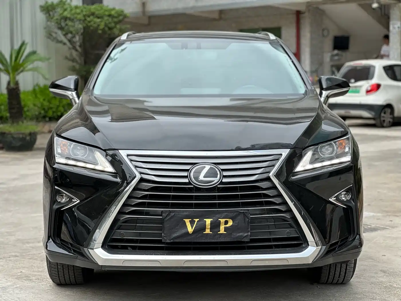 Lexus RX 2016 300 4WD Elegance Edition (China V) фото 2