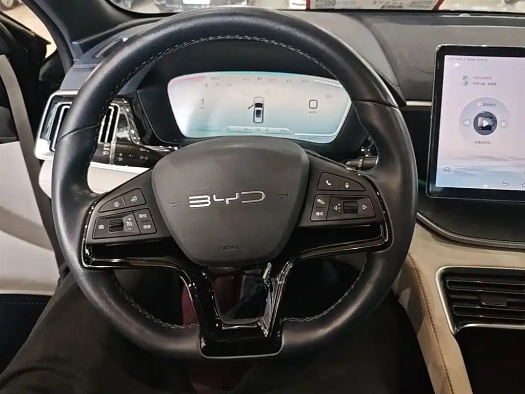 BYD Song PLUS PHEV 2023 Champion Edition DM-i 110KM Flagship фото 11