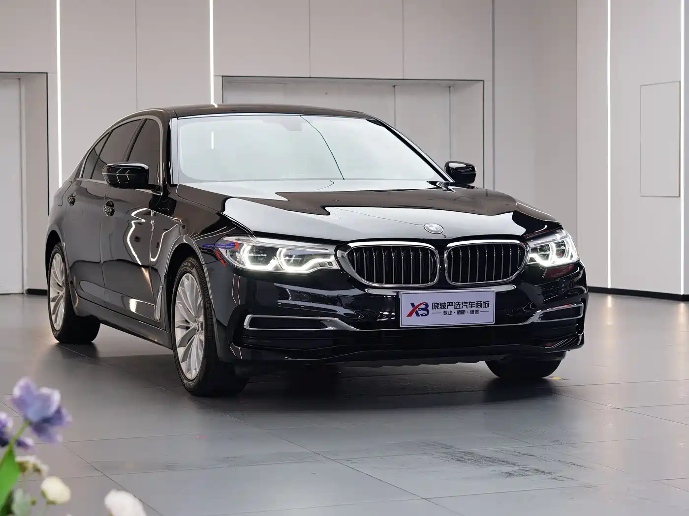 BMW 5 Series 2020 530Li Leading Luxury Package фото 3