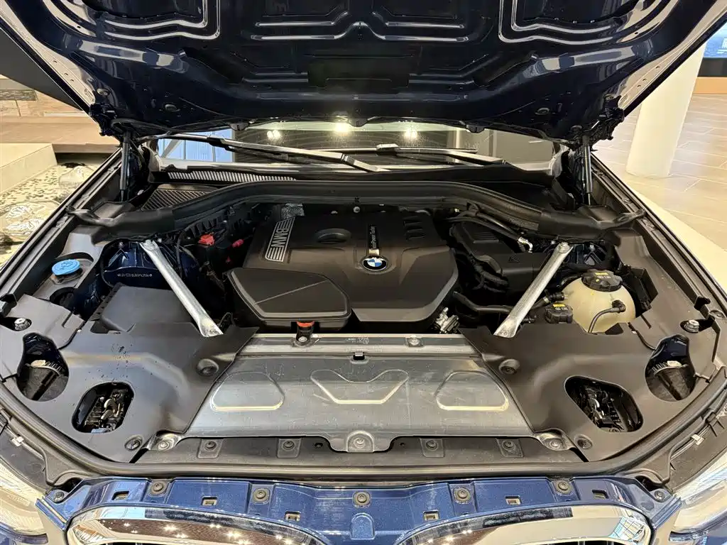 BMW X3 2019 xDrive25i Luxury Package фото 12