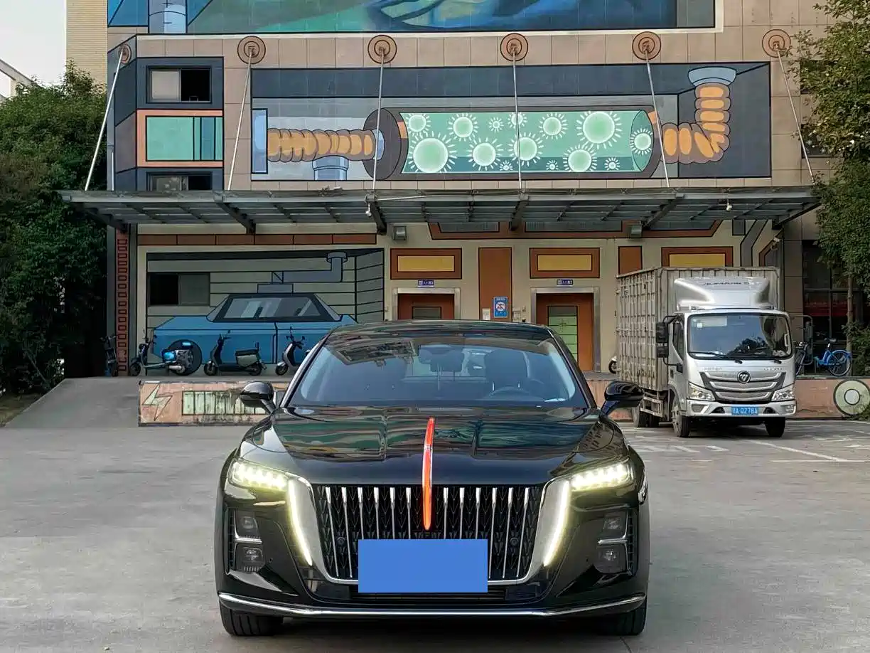 Hongqi H5 2023 2.0T Auto Smart Connect Flag Comfort фото 2