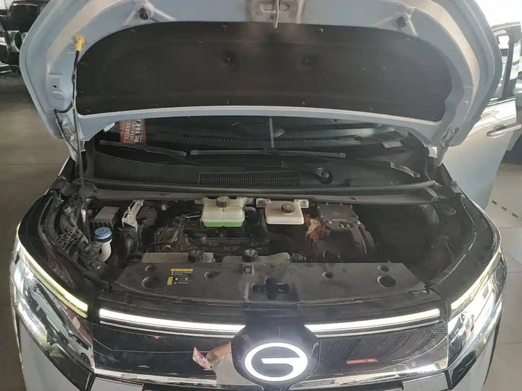 صورة 20 - GAC Trumpchi Trumpchi E8 NEV