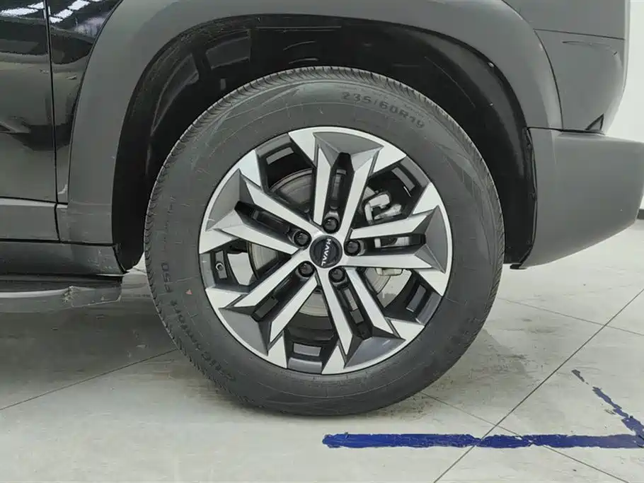 Haval Big Dog 2024 1.5T DCT Border Collie Edition фото 6