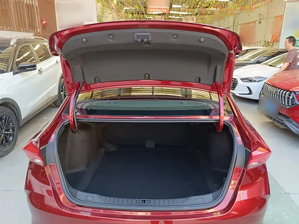 BUICK WEILANG