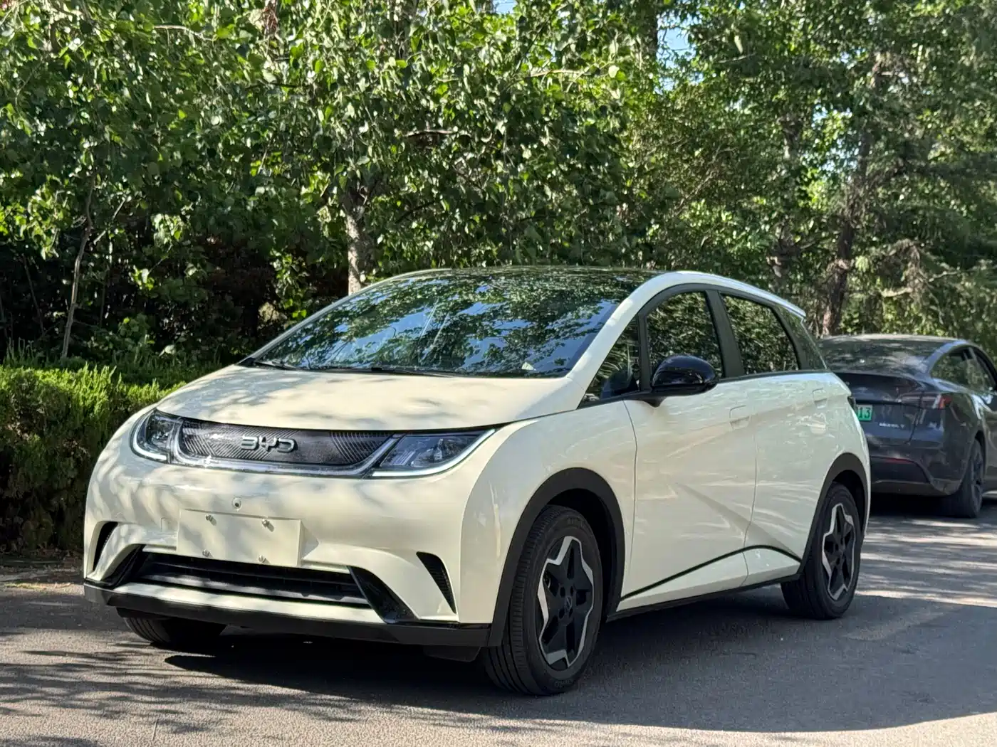BYD Dolphin 2023 420km Fashion Edition