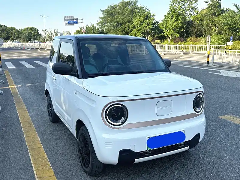 Geely Galaxy Panda 2023 Panda Mini 200km Endurance Bear фото 17