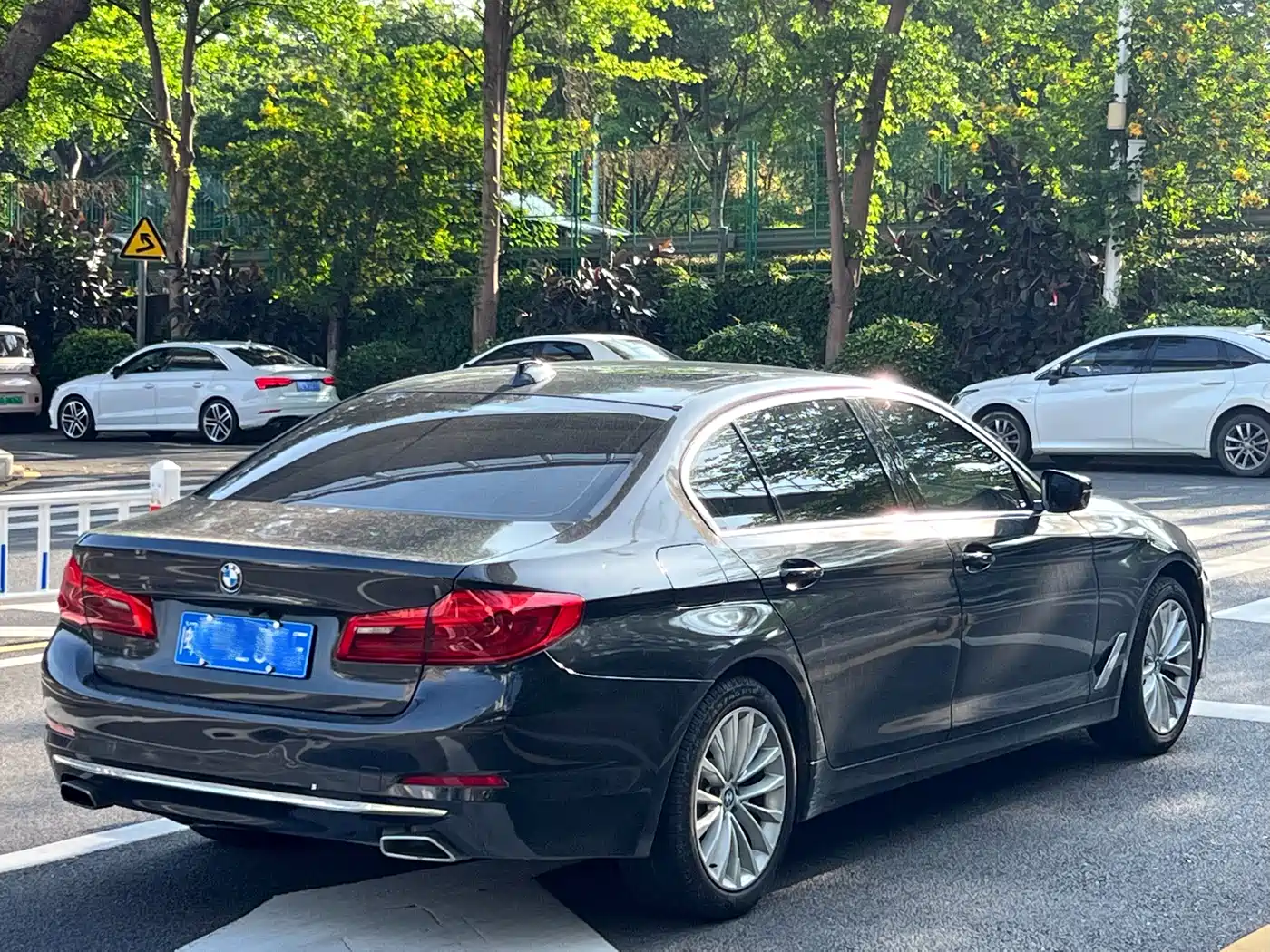 BMW 5 Series 2019 530Li Leading Luxury Package фото 9