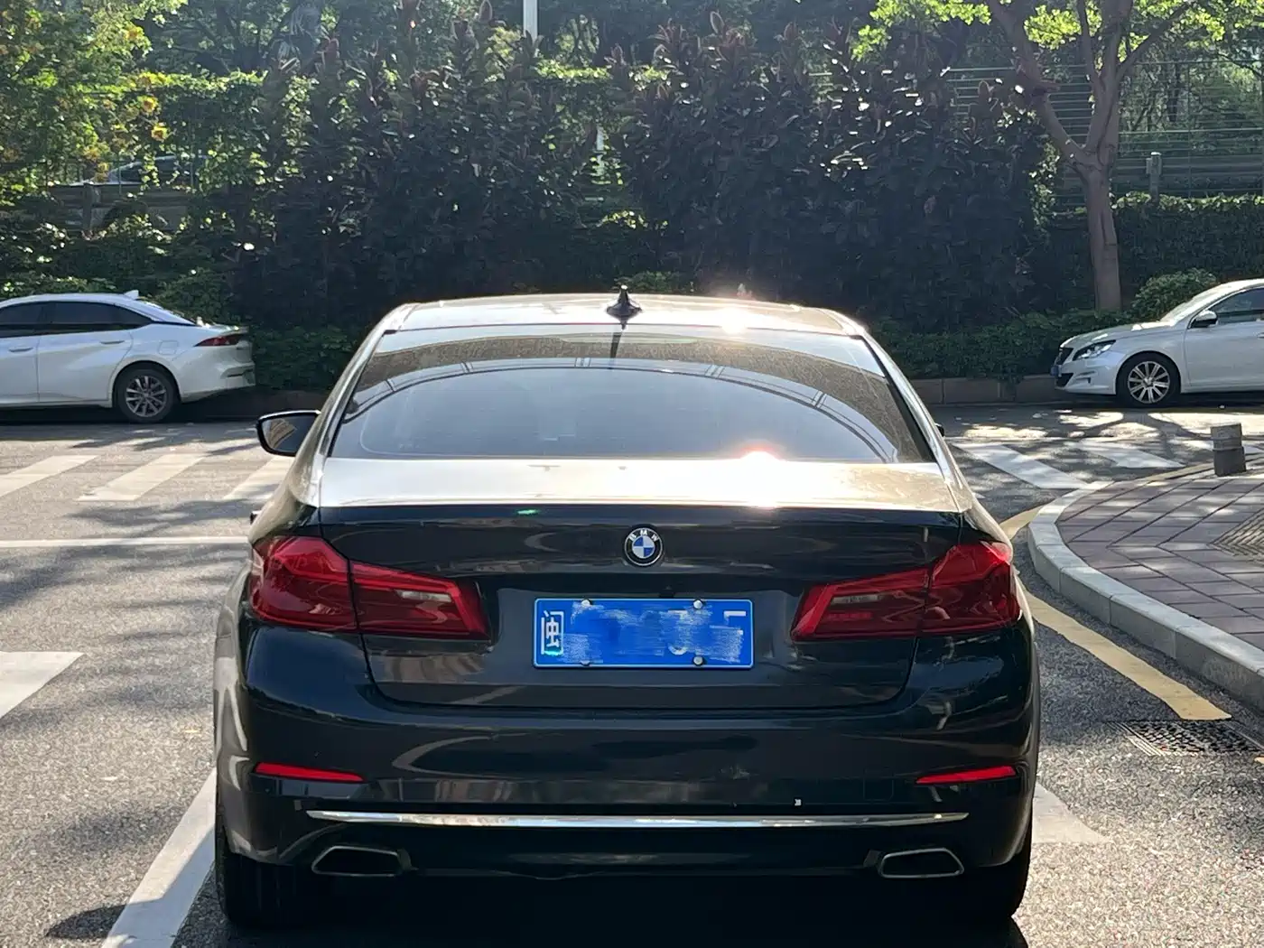 BMW 5 Series 2019 530Li Leading Luxury Package фото 8