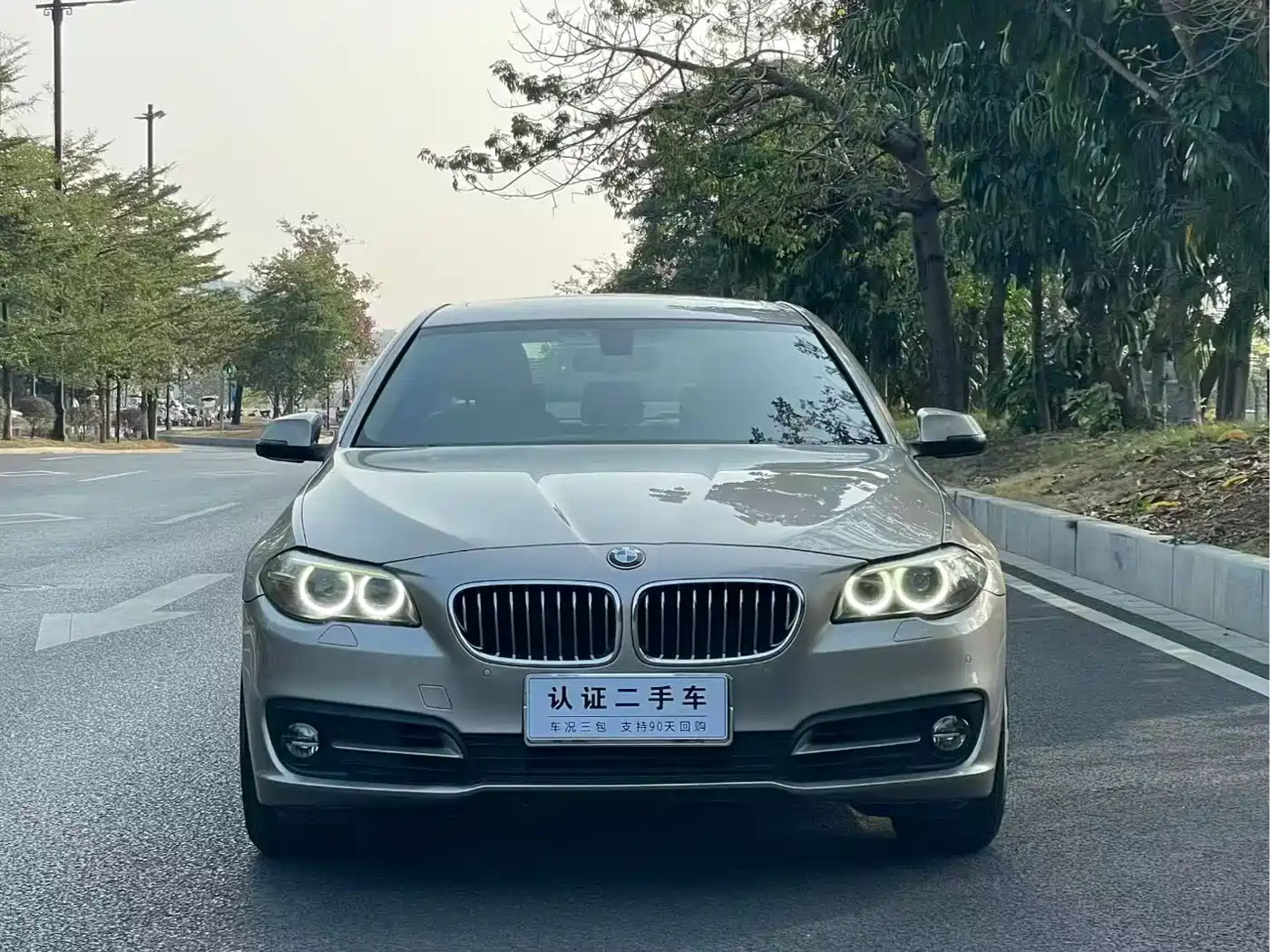 BMW 5 Series 2014 525Li Leading фото 2
