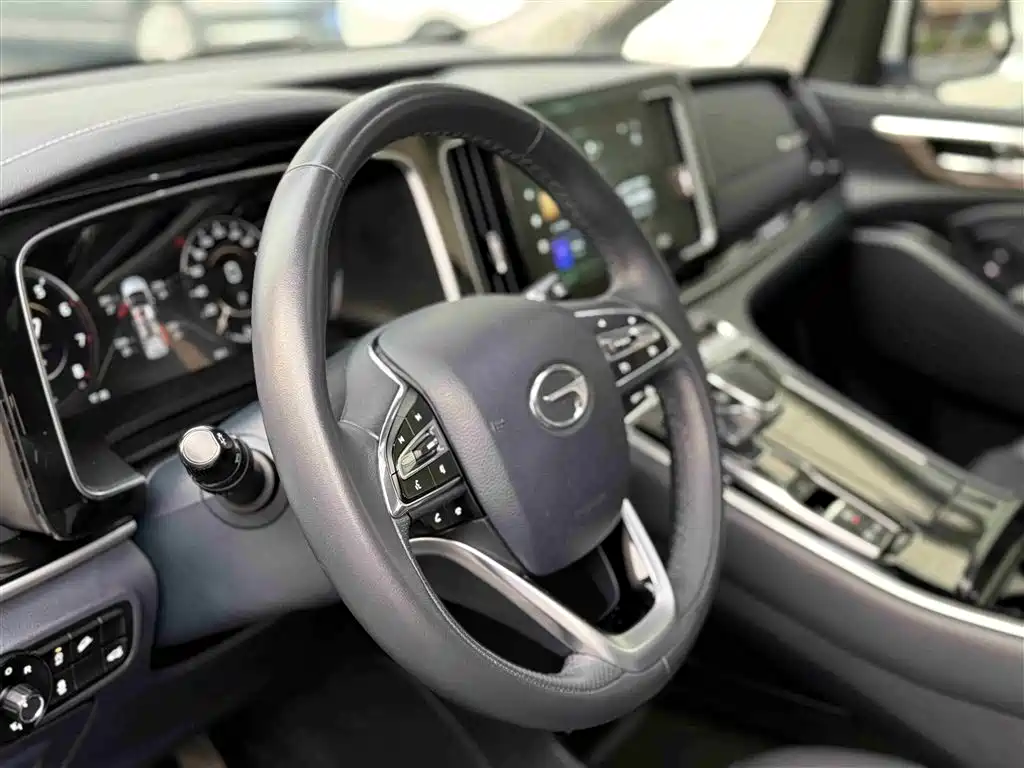 GAC Trumpchi Trumpchi M8 2021 Master Series 390T Ultimate Edition фото 31