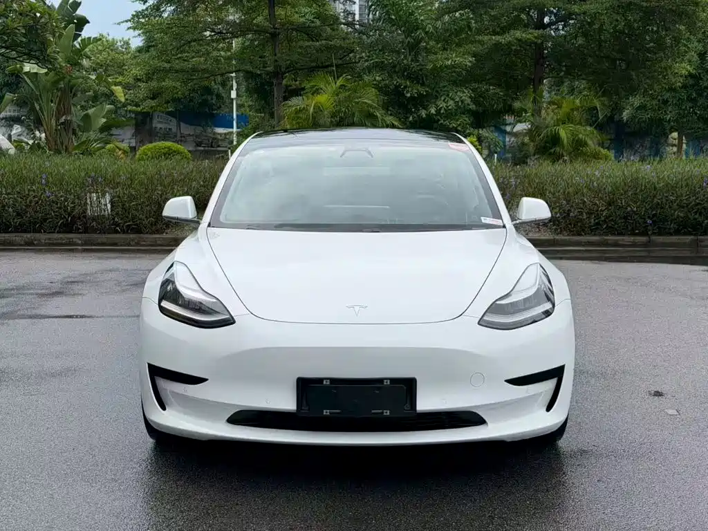 Tesla Model 3 2020 2019 Standard Range Rear-Wheel Drive Upgrade