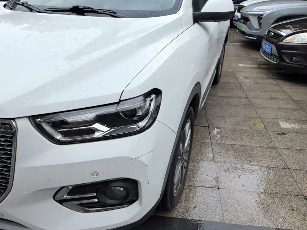 Фото 24 - Haval H2s