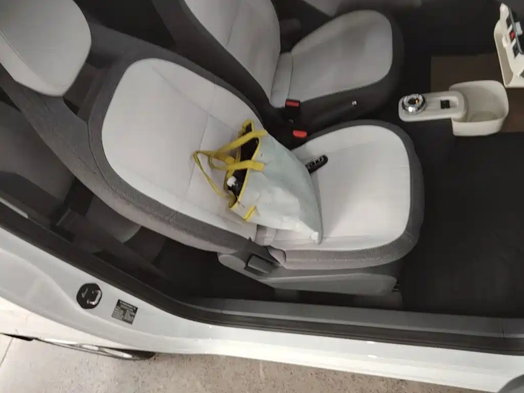 Geely Galaxy Panda 2026 2025 Panda mini 210km Vitality Bear