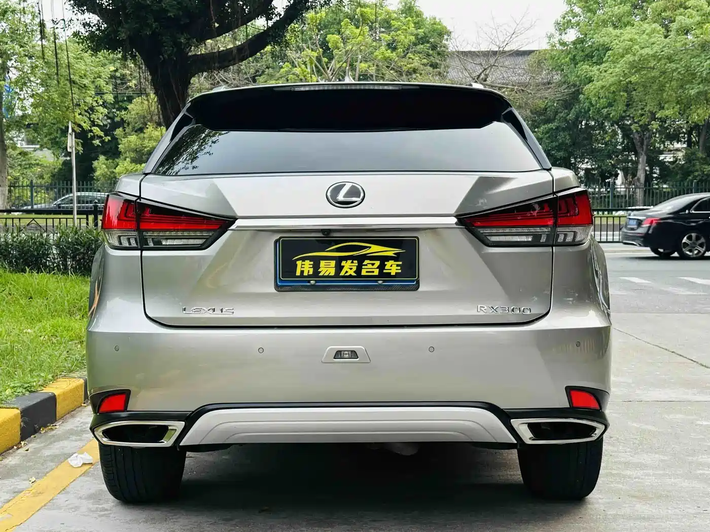 Фото 5 - Lexus RX