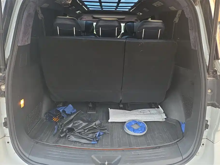 SAIC MAXUS CHASE G20