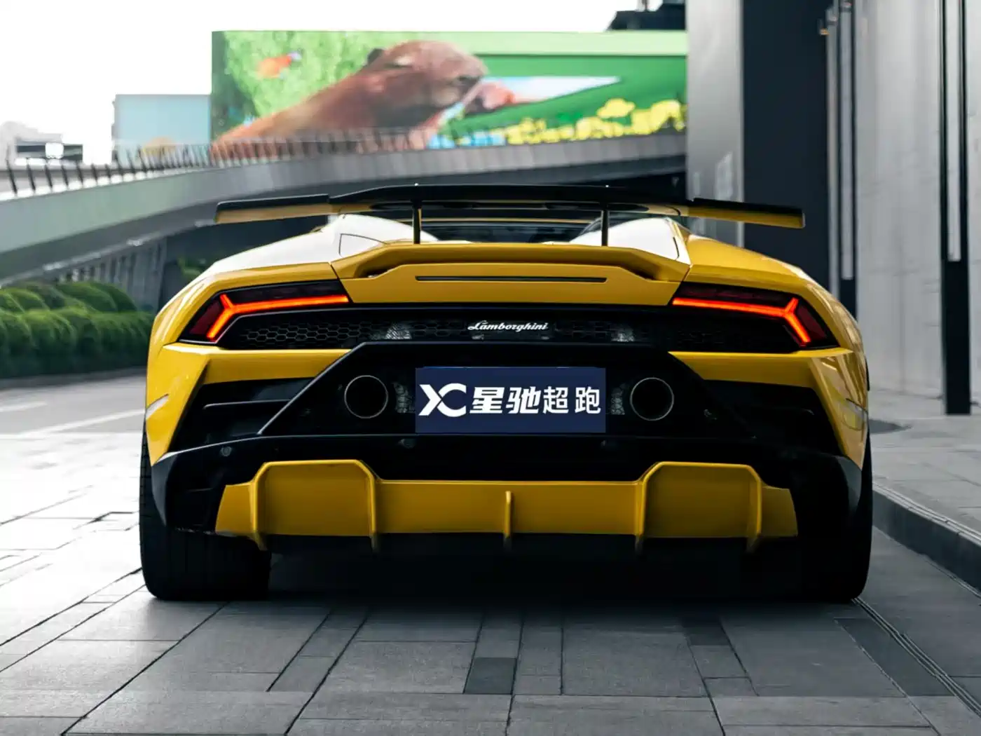 Lamborghini Huracán 2020 Huracán EVO RWD Spyder фото 3