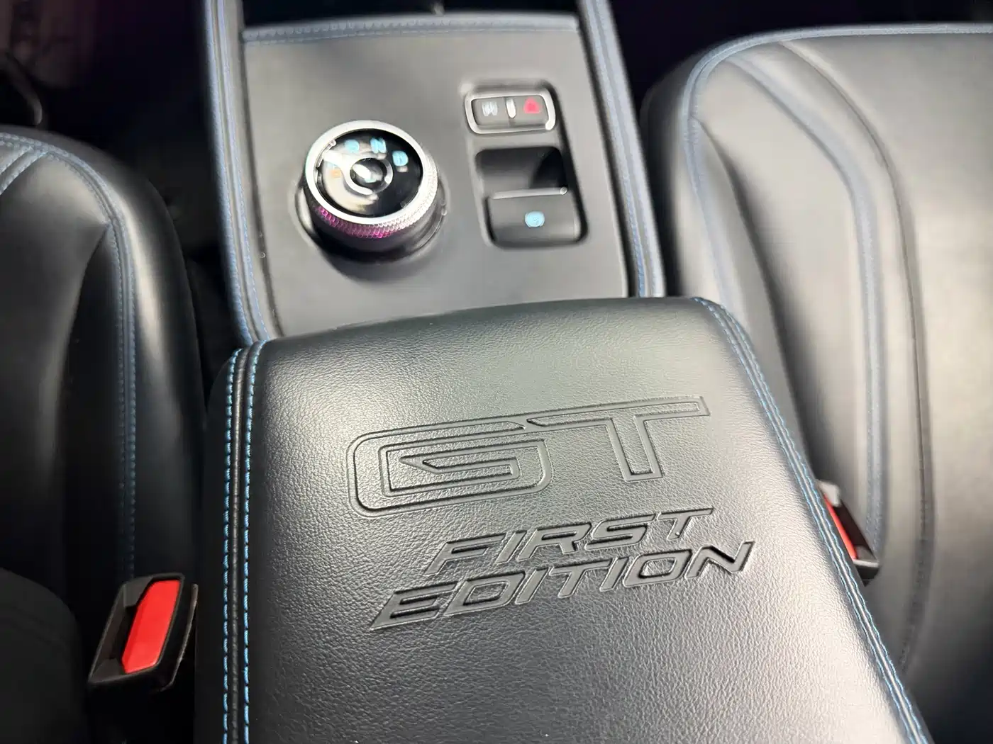 Ford Mustang Mach-E 2021 GT First Edition фото 18