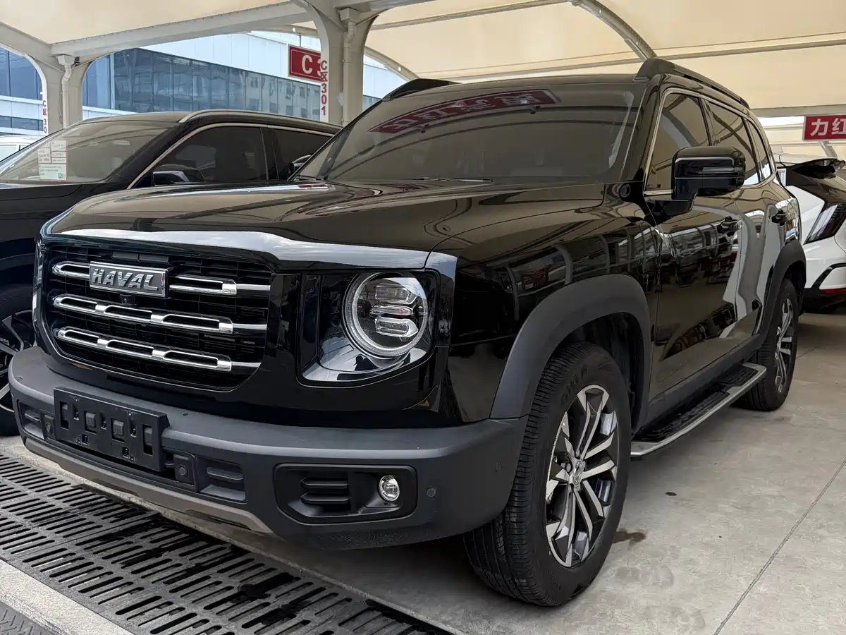 HAVAL BIG DOG